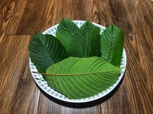 kratom benefits for adhd